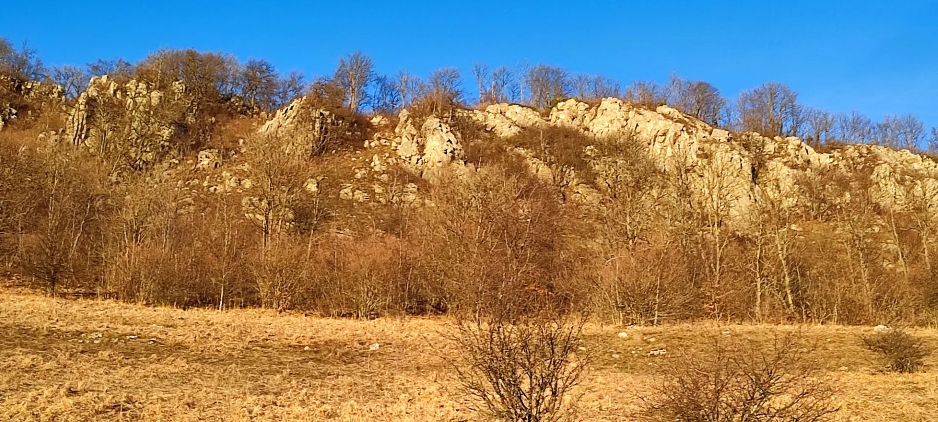 IMG_20220102_160409